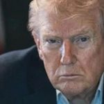 donald-trump-calls-nato-a-paper-tiger,-disappointed-allies-didn't-help-with-operations-in-iran