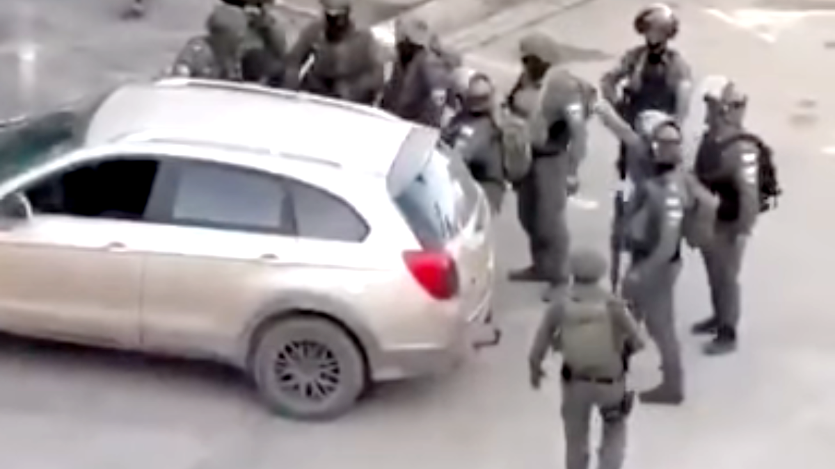 brutal!-israeli-zionist-soldiers-beat-palestinian-grandmother-to-death