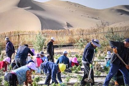 from-desert-to-hope:-china's-green-projects-boost-economy-and-environment