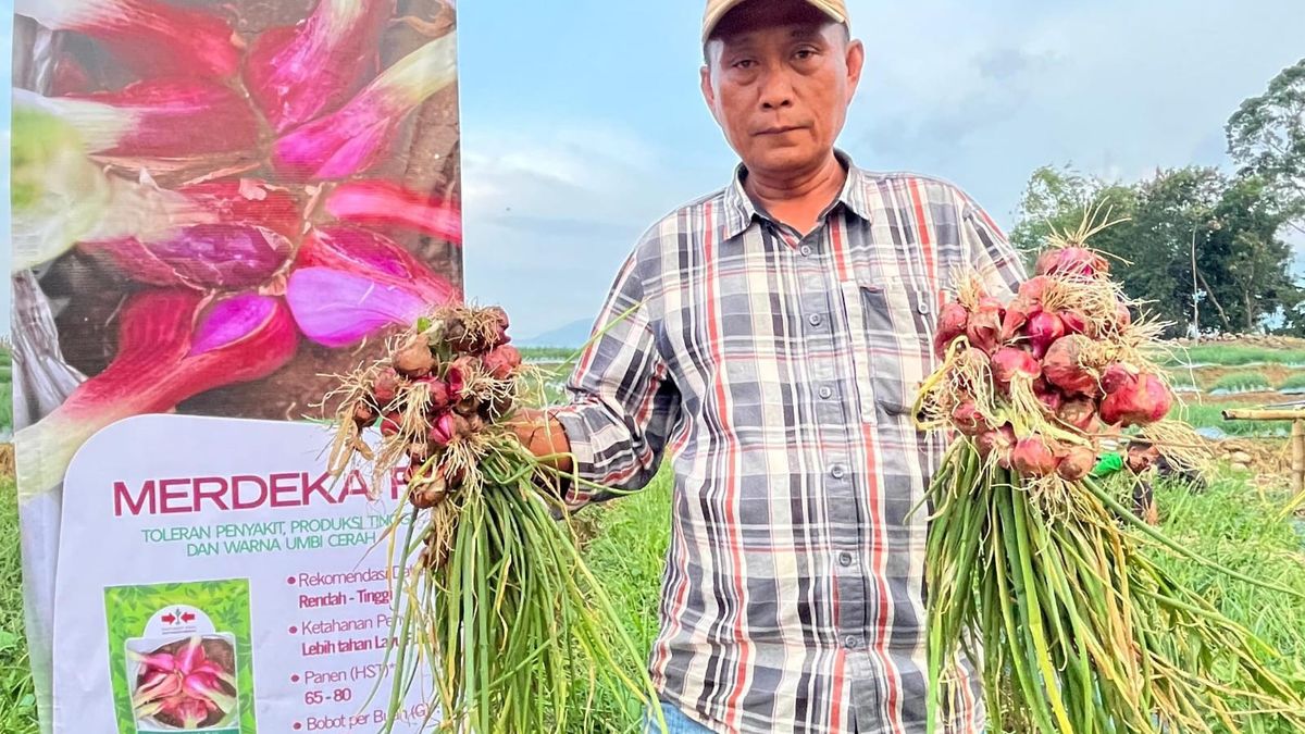 the-story-of-tono-suwarna,-a-former-civil-servant-who-succeeded-in-farming-shallots-using-tss-technology