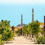 saudi-arabia-successfully-greens-mecca,-60-thousand-trees-change-the-face-of-the-holy-city