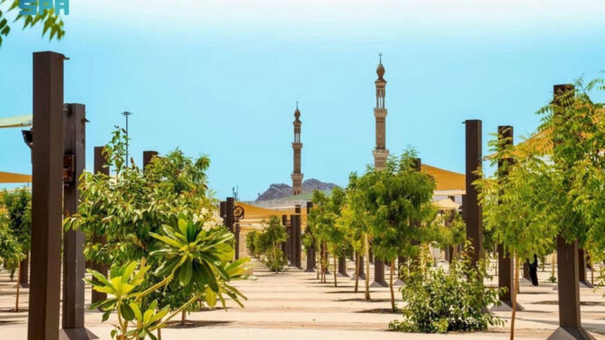 saudi-arabia-successfully-greens-mecca,-60-thousand-trees-change-the-face-of-the-holy-city