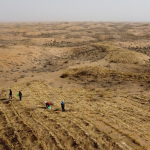 why-is-the-gobi-desert-called-the-cold-desert?-this-giant-expanse-of-desert-can-freeze-to-minus-40-degrees