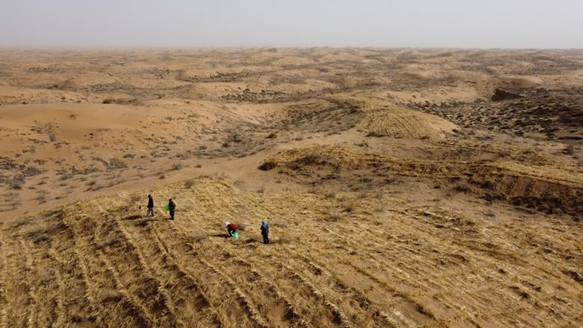 why-is-the-gobi-desert-called-the-cold-desert?-this-giant-expanse-of-desert-can-freeze-to-minus-40-degrees