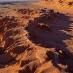 200-million-year-old-fossil-forest-in-the-arizona-desert-believed-to-hold-a-“curse”-legendary