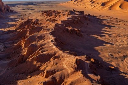 200-million-year-old-fossil-forest-in-the-arizona-desert-believed-to-hold-a-“curse”-legendary