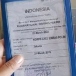 only-15-minutes!-how-to-make-a-'sakti'-sim-that-gets-you-ticket-free-from-tokyo-to-new-york!