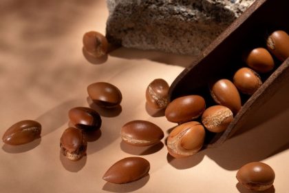 international-argania-day-may-10,-what-is-it?-learn-the-facts-about-this-memorial-and-tree