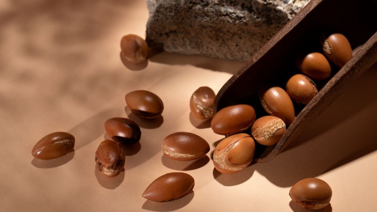 international-argania-day-may-10,-what-is-it?-learn-the-facts-about-this-memorial-and-tree