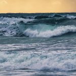 on-june-8-there-is-world-oceans-day,-know-the-important-role-of-the-ocean-for-life
