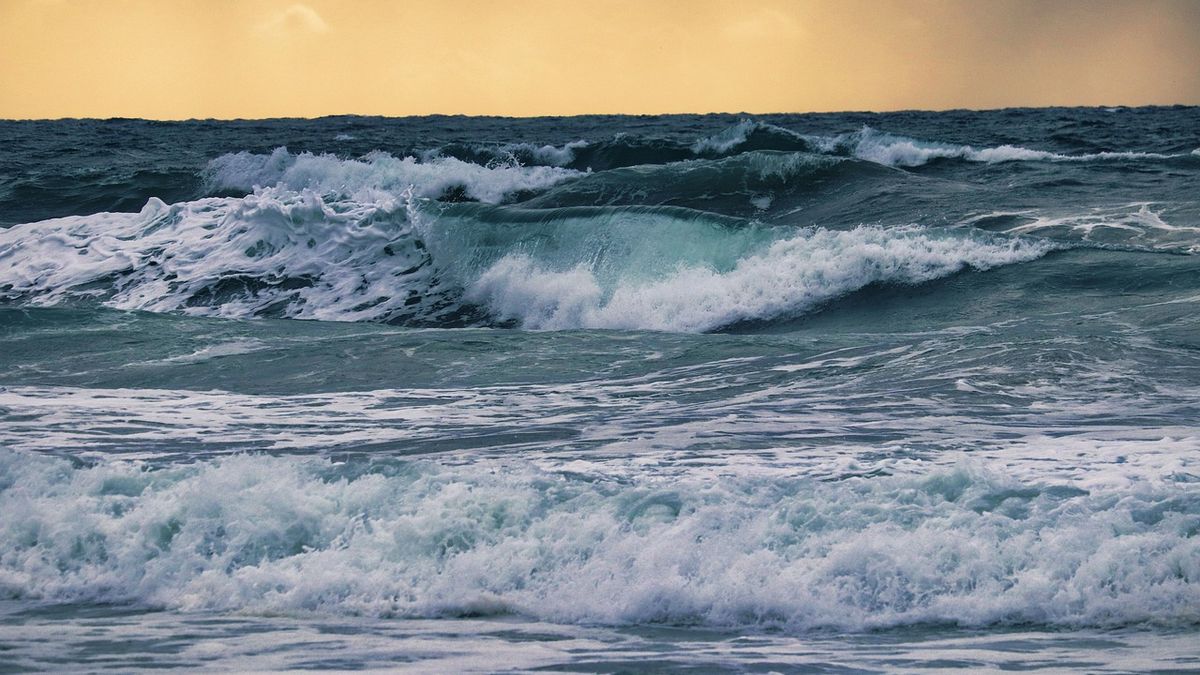on-june-8-there-is-world-oceans-day,-know-the-important-role-of-the-ocean-for-life