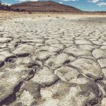 world-day-to-combat-drought-and-drought-june-17:-definition,-history-and-goals