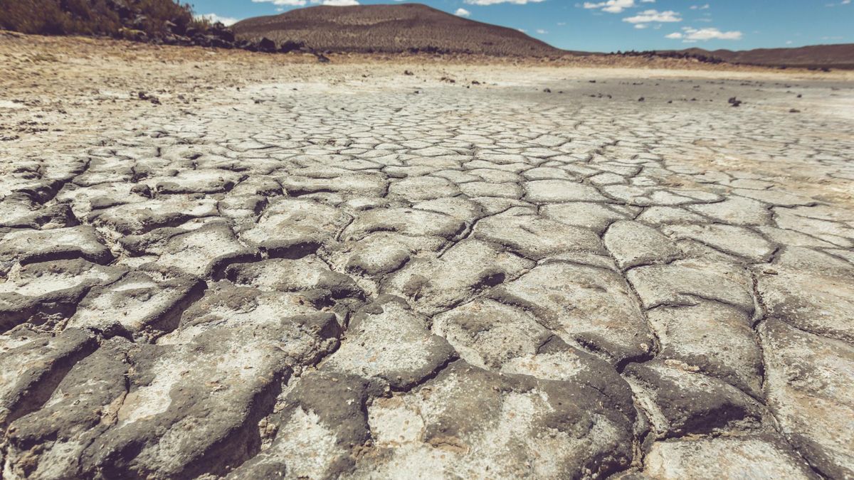 world-day-to-combat-drought-and-drought-june-17:-definition,-history-and-goals