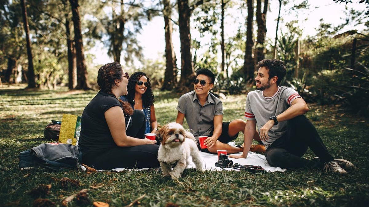 there-is-an-international-picnic-day-celebration-every-june-18,-here's-the-history-of-this-outdoor-eating-culture