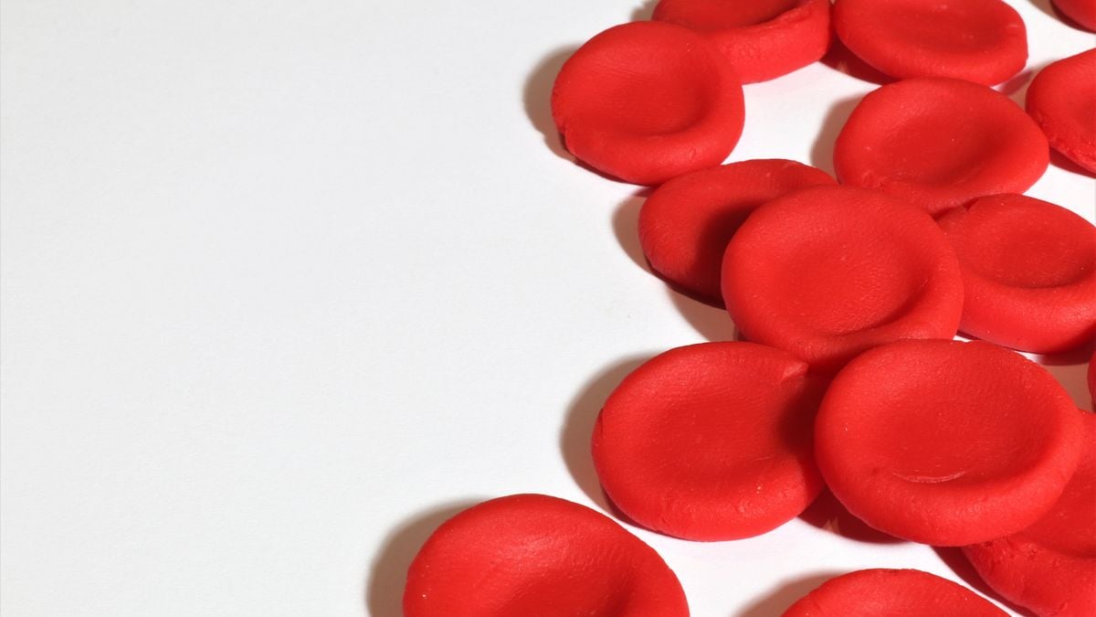 on-june-19,-there-is-world-sickle-cell-day,-know-about-this-observance-and-the-condition-of-sickle-cell-disease