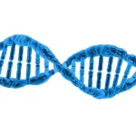 there-is-a-rare-chromosomal-disorders-awareness-day-on-june-25th,-learn-about-these-conditions
