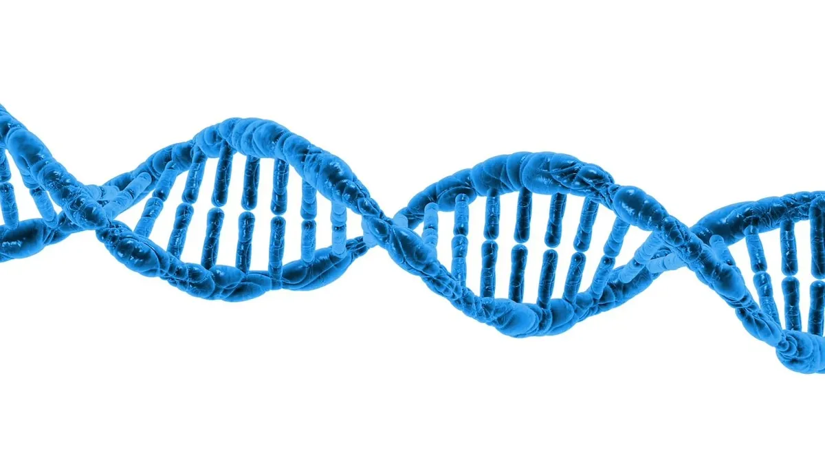 there-is-a-rare-chromosomal-disorders-awareness-day-on-june-25th,-learn-about-these-conditions