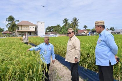 President of Indonesia Prabowo Subianto