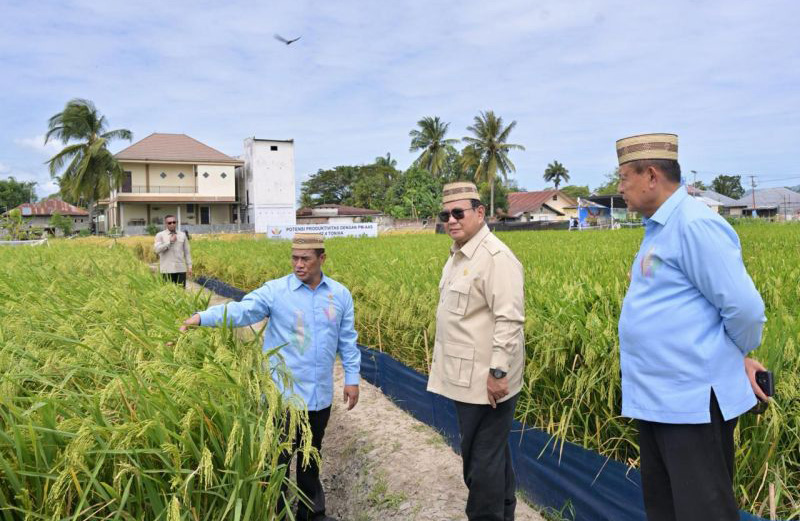 President of Indonesia Prabowo Subianto