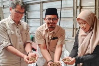 livestock feed product