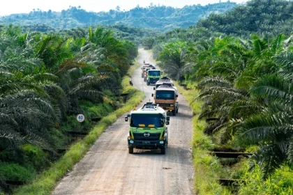 Palm oil