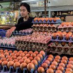 A vendor sorts chicken eggs