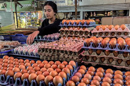 A vendor sorts chicken eggs