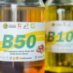 The B50 biodiesel
