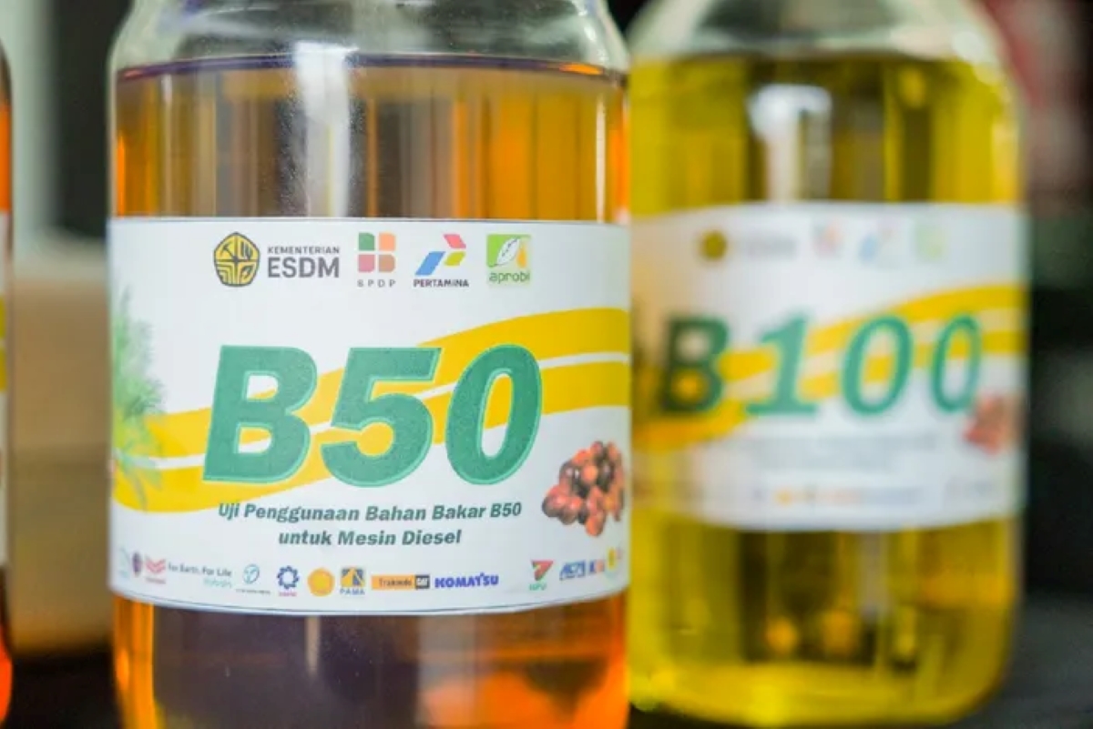 The B50 biodiesel